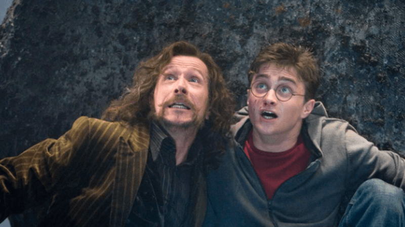 Gary Oldman and Daniel Radcliffe in Harry Potter and the Order of the Phoenix (2007)