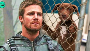 Arrow Star Stephen Amell Threatened Dog Shelter Owner for Allegedly Disturbing His Peace Only to Be Humiliated in Court