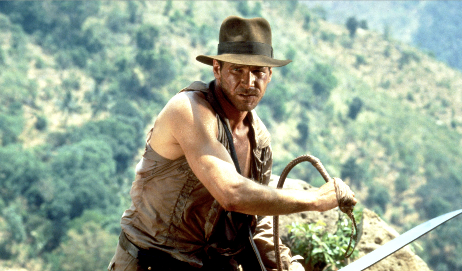 Indiana Jones is one of the most widely acclaimed franchises of all time
