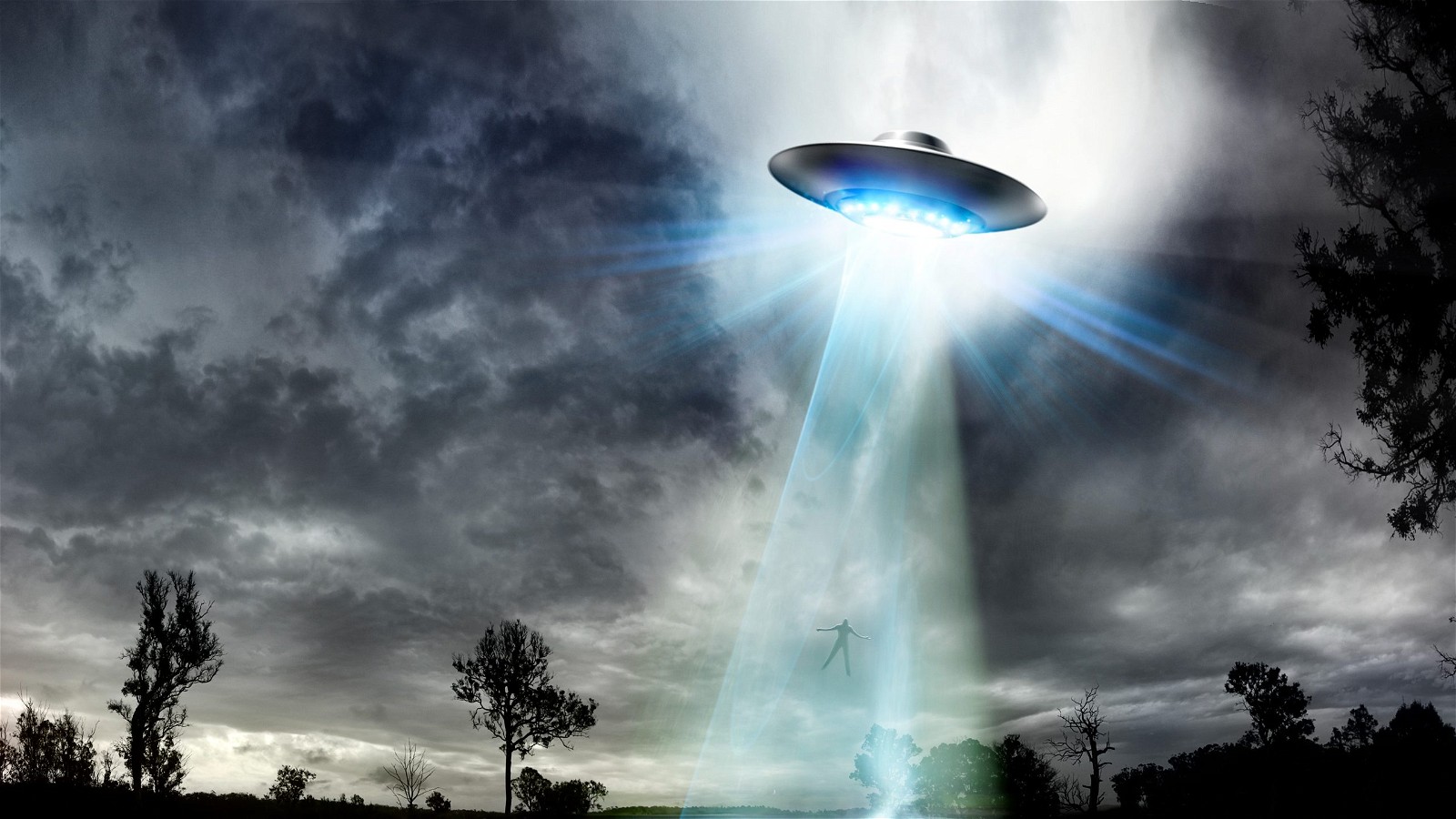 Guillermo del Toro believes he saw a UFO