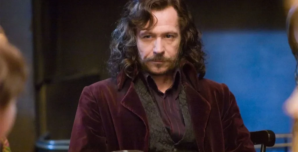 Gary Oldman as Sirius Black