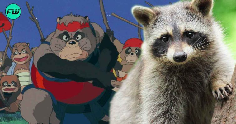 Studio Ghibli's $30M Pom Poko Was Inspired By Japan's Real-Life Raccoon ...