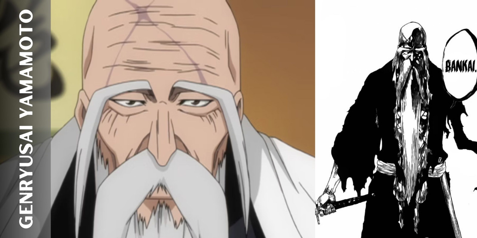 Bleach: Yamamoto Genryuusai's Powerful Abilities, Explained