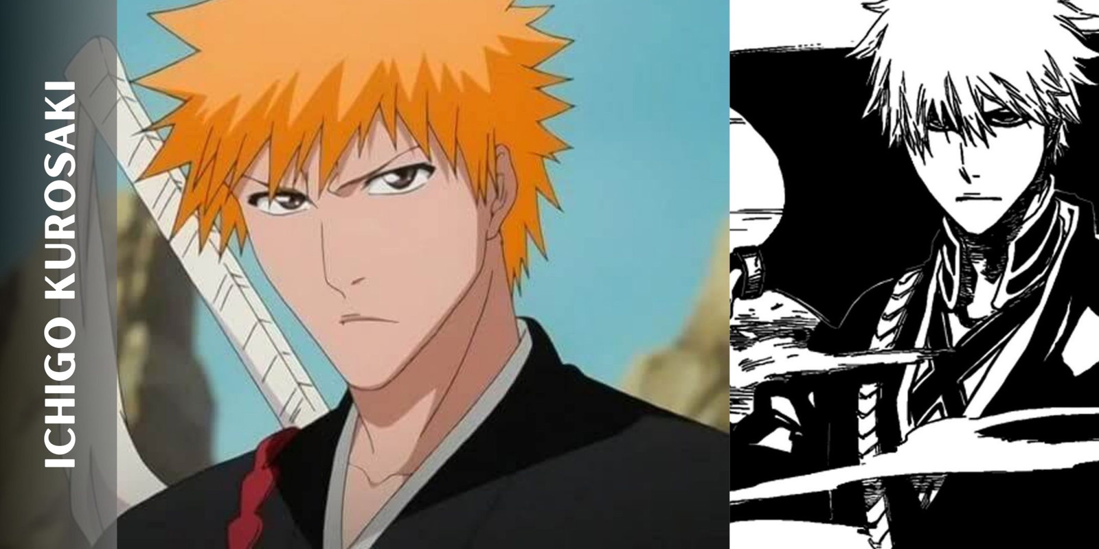 Ichigo Kurosaki Shinigami/ Quincy 