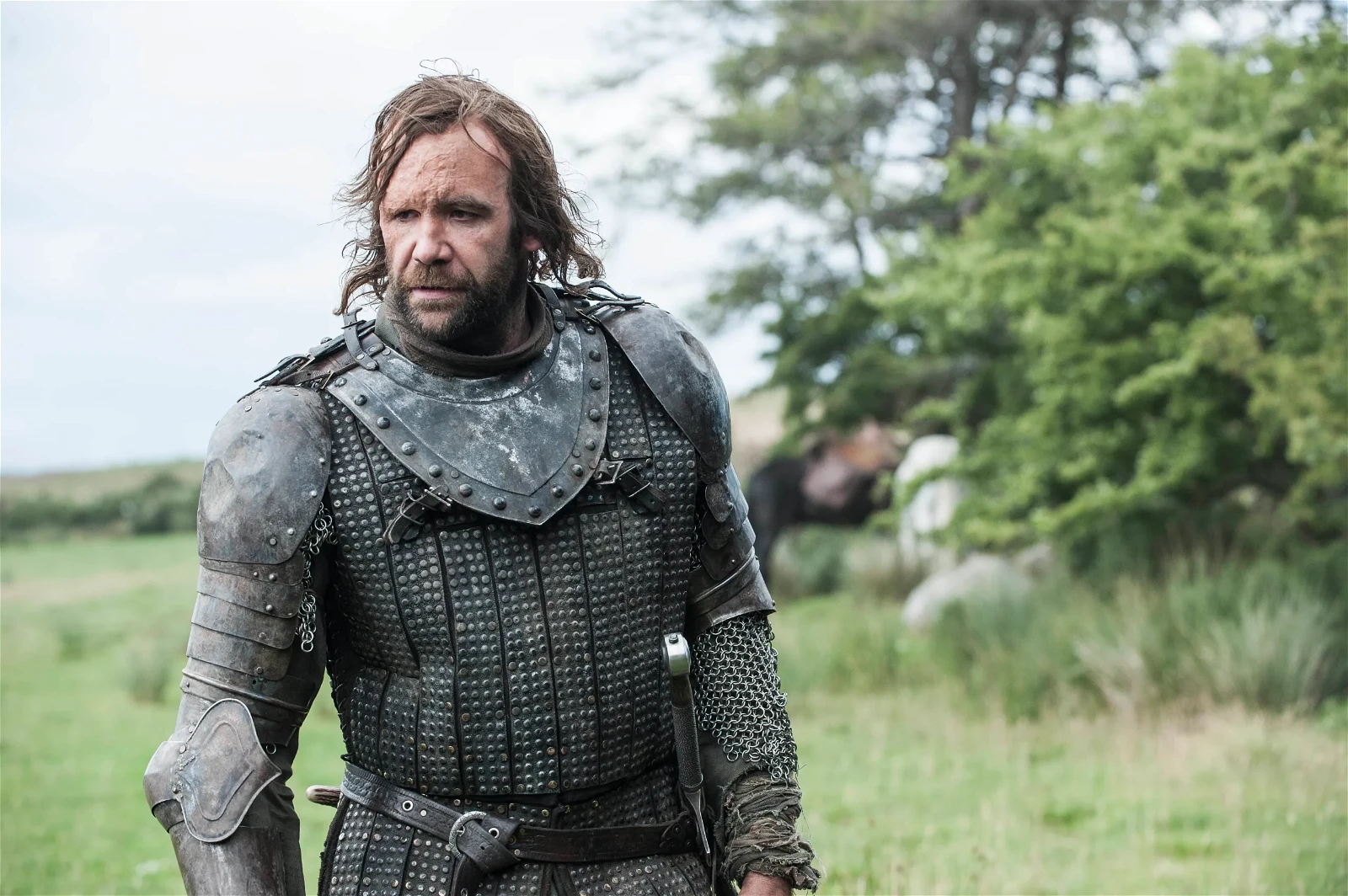 Rory McCann in the Game of Thrones