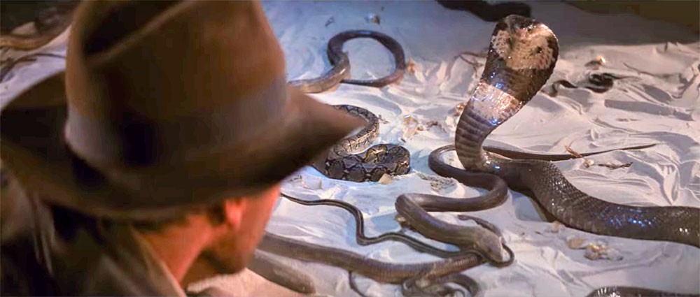Harrison Ford actually loves snakes.
