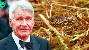 "It's always the ones that terrifies children": Harrison Ford Doesn't Understand Why Scientist Would Call 16 Inch Snakes 'Harrisonfordi'