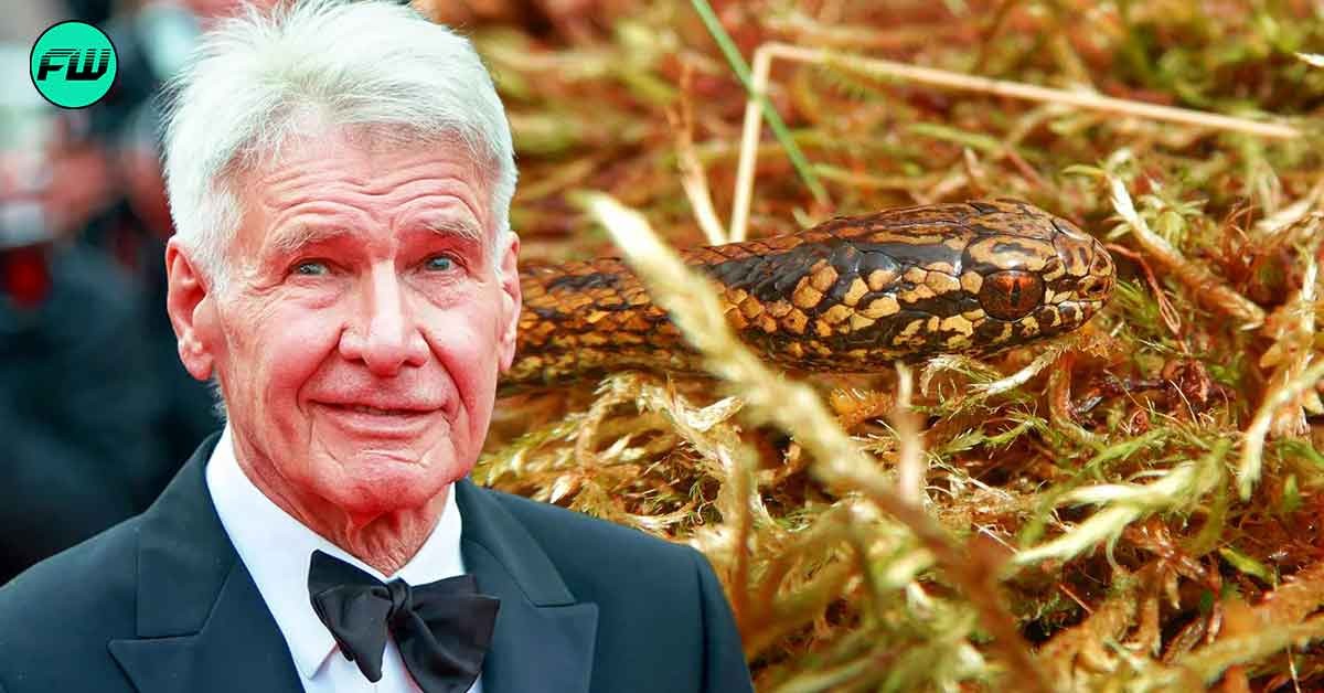 "It's always the ones that terrifies children": Harrison Ford Doesn't Understand Why Scientist Would Call 16 Inch Snakes 'Harrisonfordi'