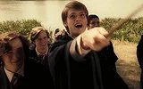 Animagi Every Known Animagus in Harry Potter, Ranked Least to Most Impressive