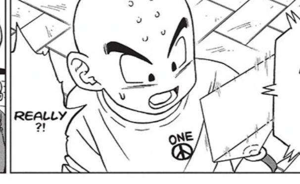 Krillin wearing a One Piece shirt