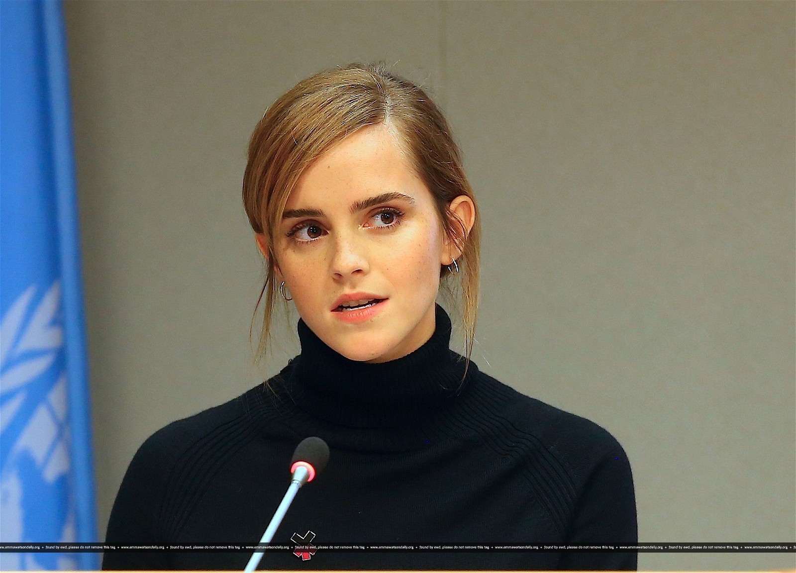 Emma Watson's speech at the UN