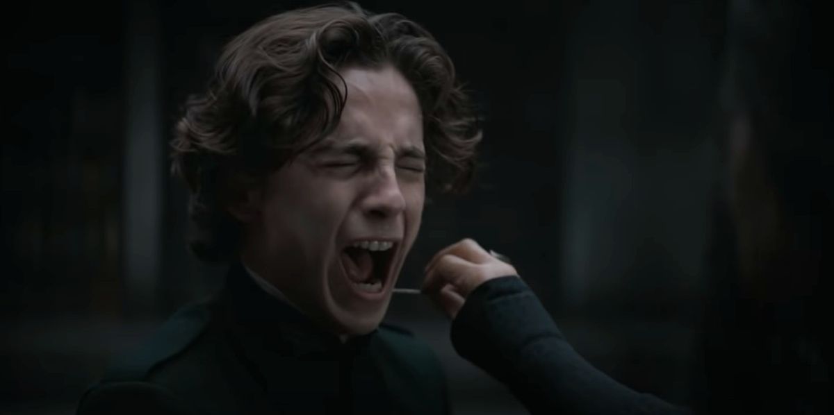 Timothée Chalamet as Paul Atreides