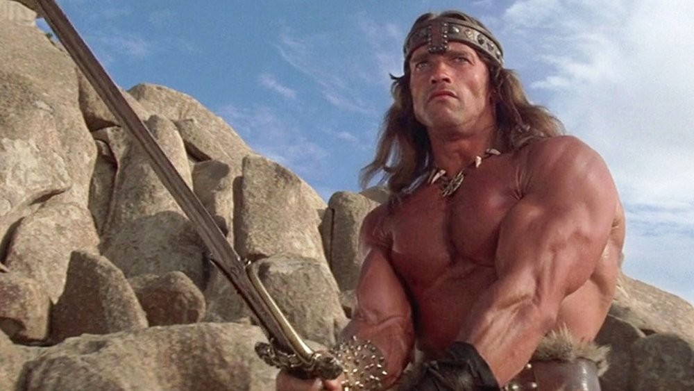 Arnold Schwarzenegger from a scene in Conan The Barbarian