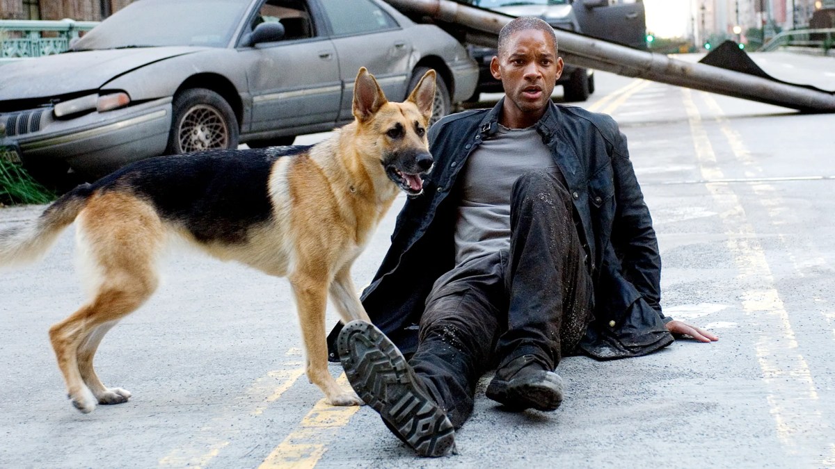 Will Smith in I Am Legend.