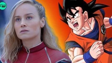 One Marvel Show Whose Lead Star is Now in Brie Larson's The Marvel Took Major Inspiration from Dragon Ball Z
