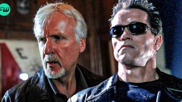 Arnold Schwarzenegger's Terminator Co-Star, Who Played the Most Iconic Franchise Villain, Was Terrified James Cameron Will Replace Him
