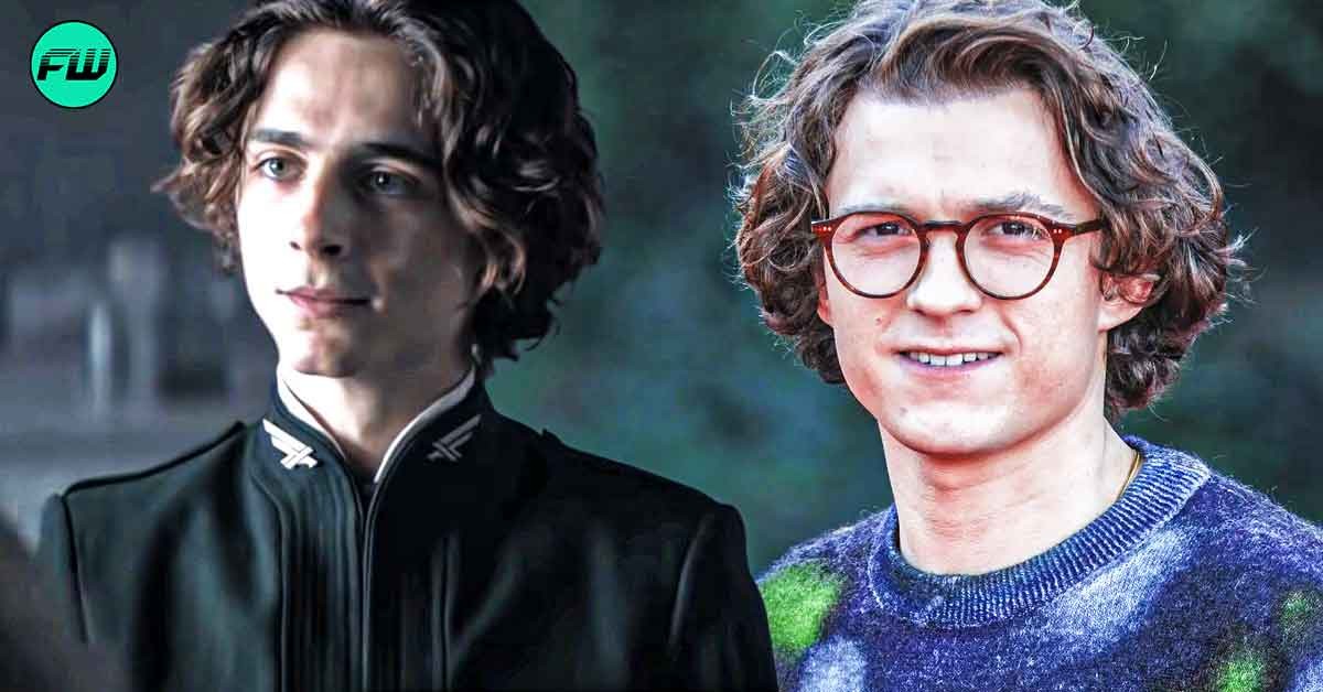 Timothee Chalamet Joining Tom Holland's $6.7B Rival Franchise Rumor Debunked by Industry Insider