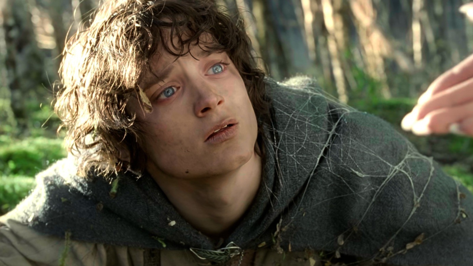 Elijah Wood in a still from The Lord Of The Rings Franchise