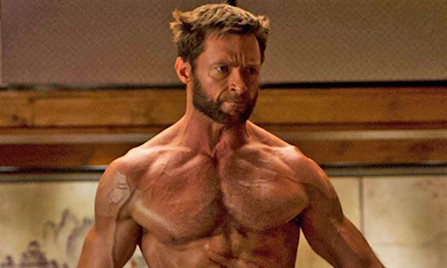 Hugh Jackman as Wolverine