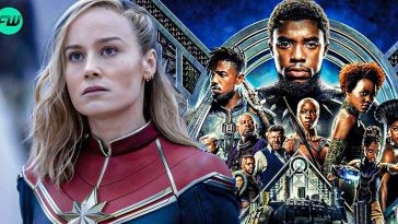 Not Brie Larson's Captain Marvel, Black Panther Almost Became Marvel's First Female Directed Movie Before Oscar Nominated Director Left the Project