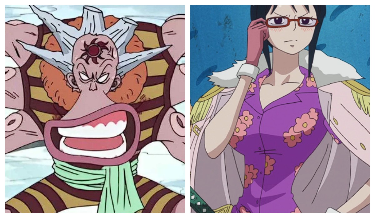 Hachi and Tashigi One Piece