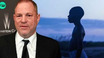 “Ok, how do you be a maverick?”: Harvey Weinstein Had No Shame in Stealing 'Moonlight' Credits That Set an Oscar Record