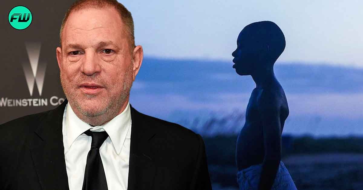 “Ok, how do you be a maverick?”: Harvey Weinstein Had No Shame in Stealing 'Moonlight' Credits That Set an Oscar Record
