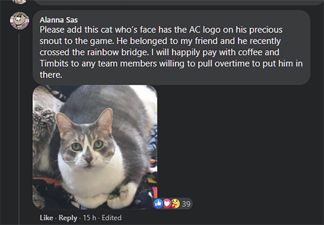 The original Facebook comment under Ubisoft's post