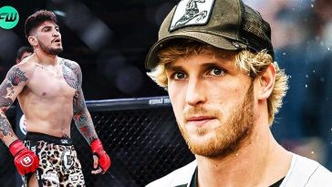 "Your daughter Josephine, stupid": Logan Paul Had a Serious Allegation Against Dillon Danis Before They Got into a Nasty Brawl at Press Conference