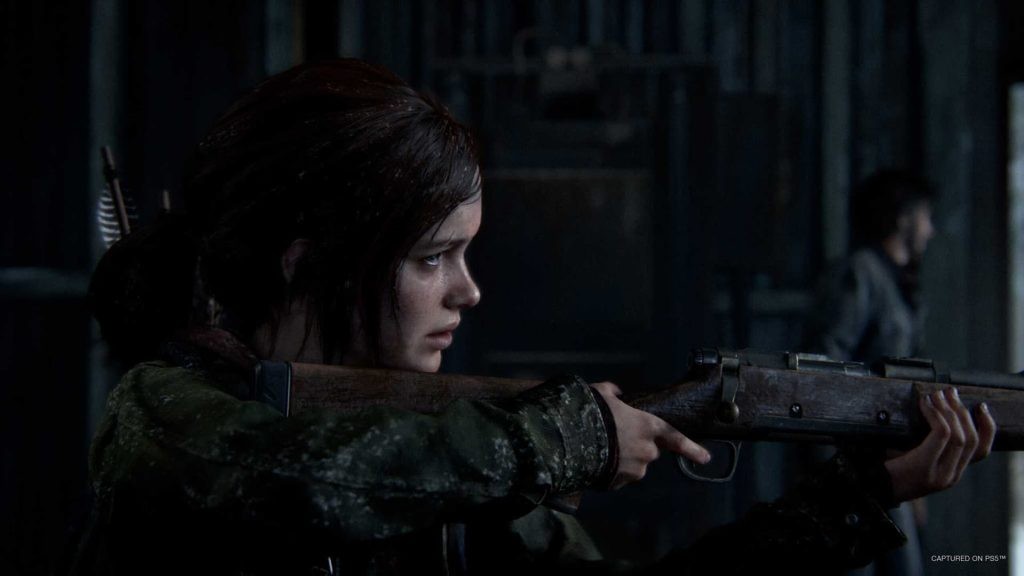 The Last of Us multiplayer game will be a standalone release.