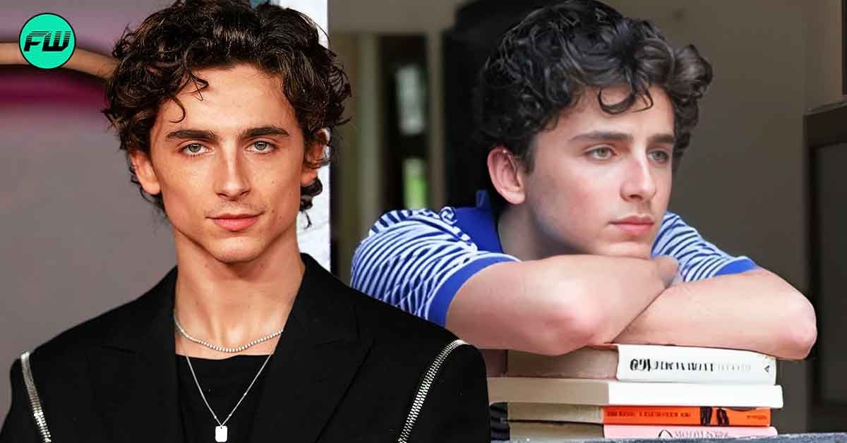Timothée Chalamet Interview Took an Awkward Turn After Accidentally Hinting  At One Thing From Call Me