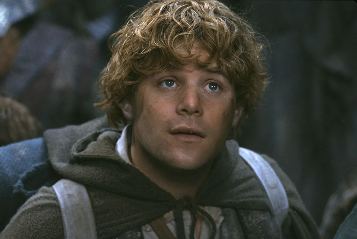 Sean Astin in the Lord of the Rings franchise