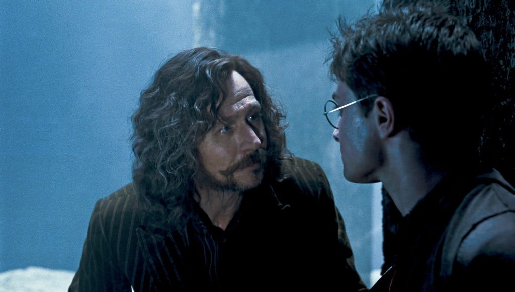 Sirius Black and Harry Potter