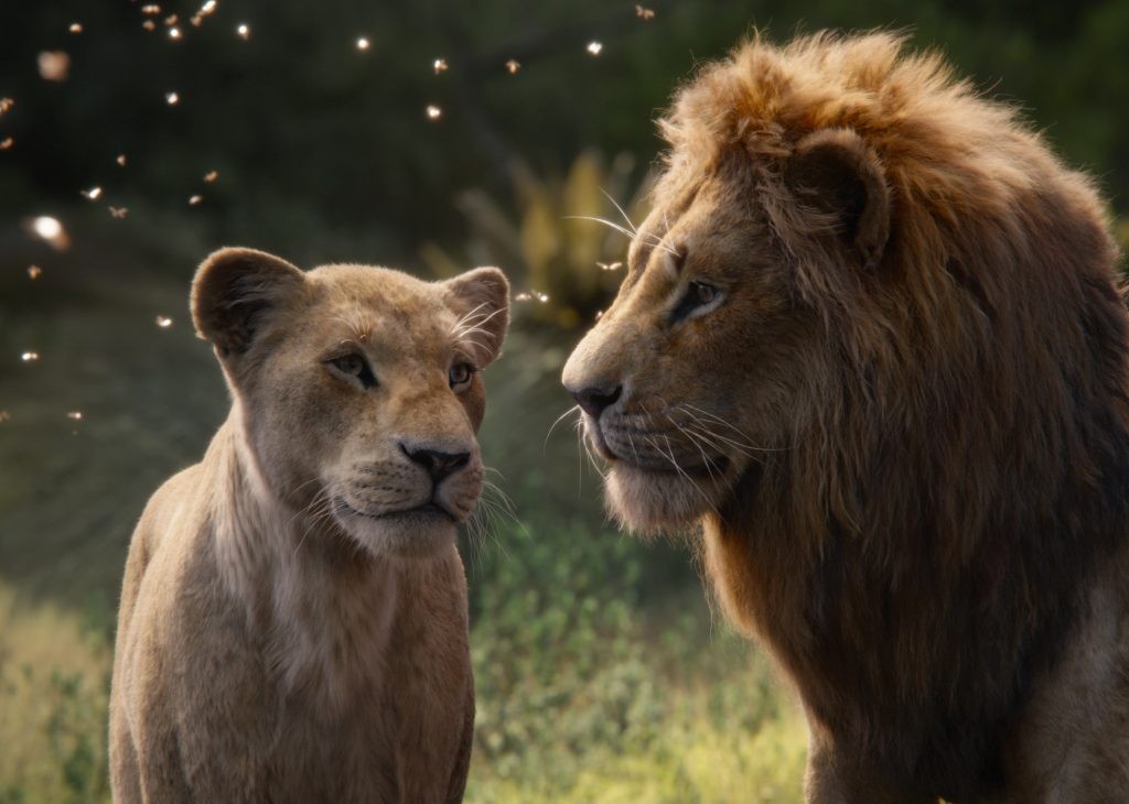 A still from The Lion King (2019)