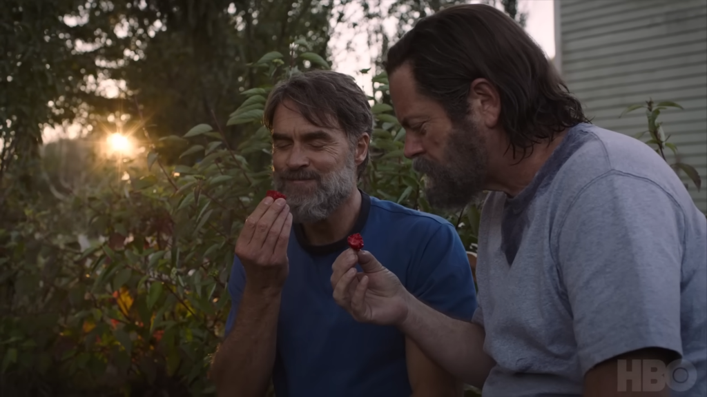 Bill and Frank in The Last of Us season 1