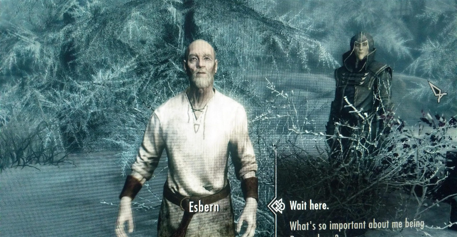Max von Sydow's character, Esbern, in The Elder Scrolls V: Skyrim