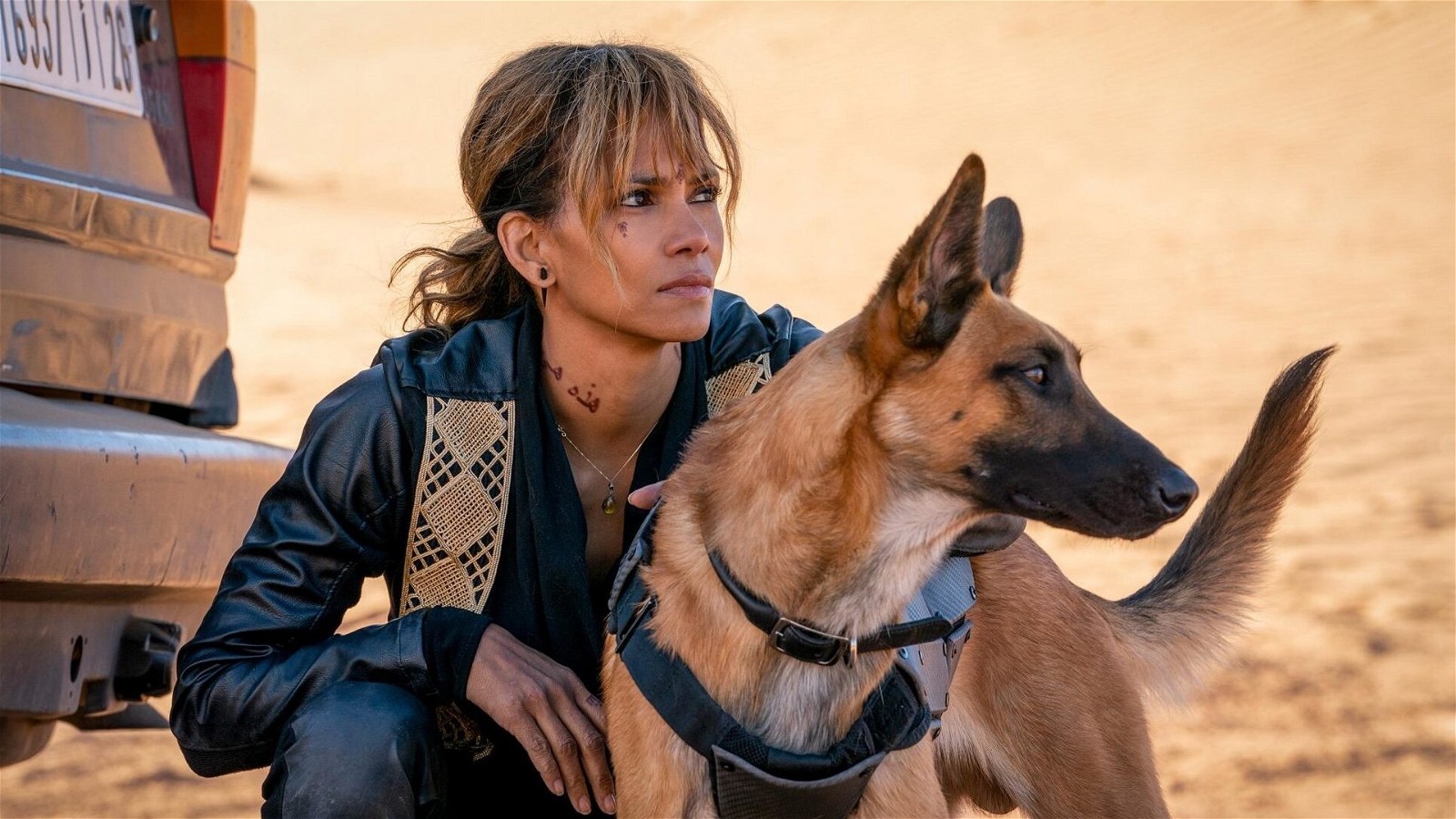 Halle Berry in John Wick: Chapter 3 - Parabellum