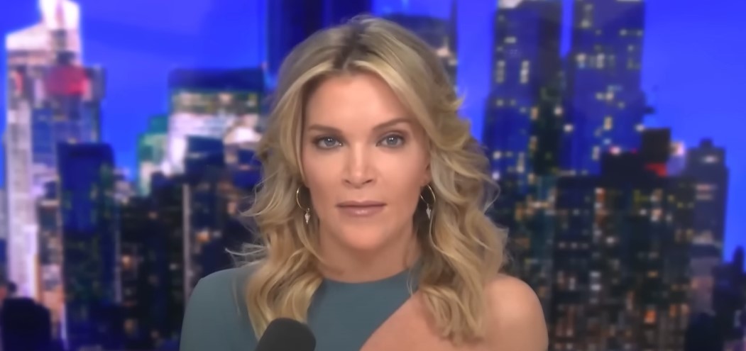 Megyn Kelly accused actress Erin Moriarty for undergoing plastic surgery