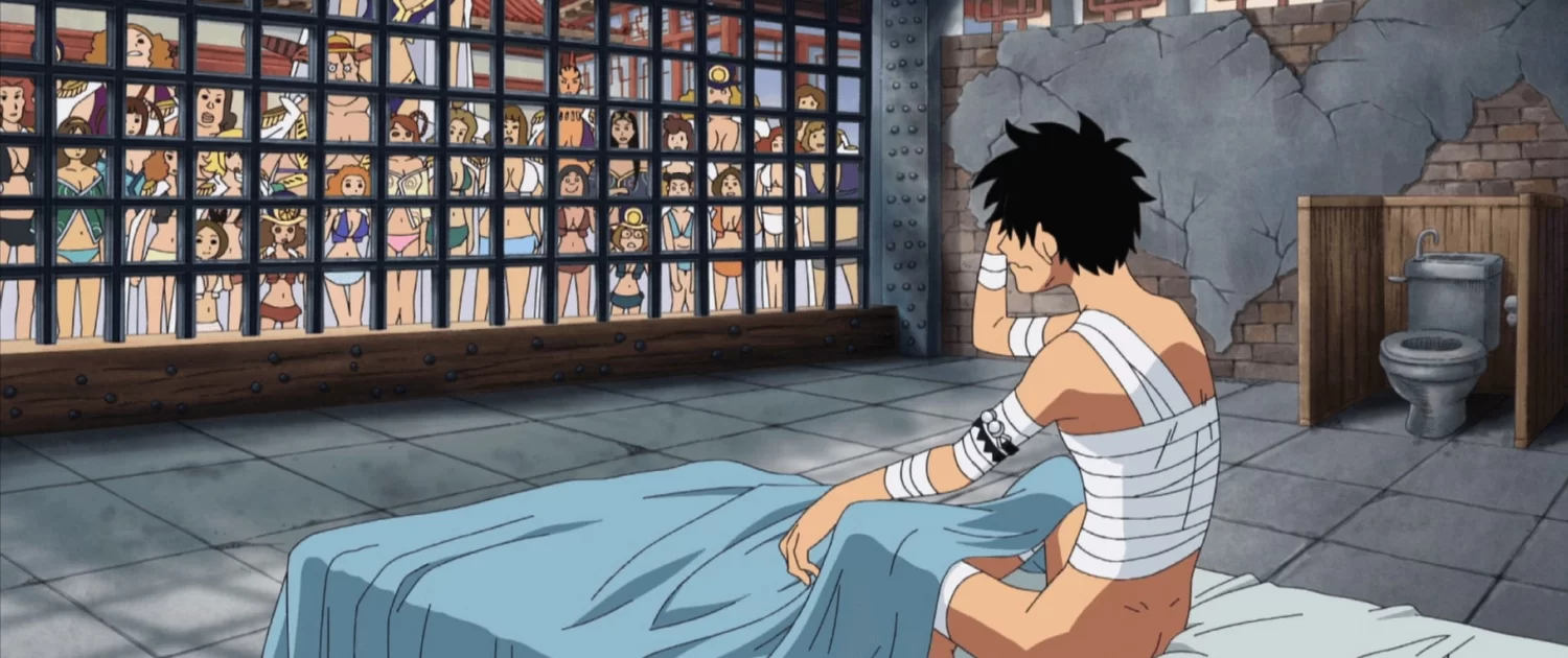luffy in amazon lily