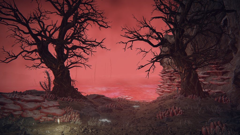 Scarlet Rot pourrait jouer un rôle important dans le prochain DLC d'Elden Ring.