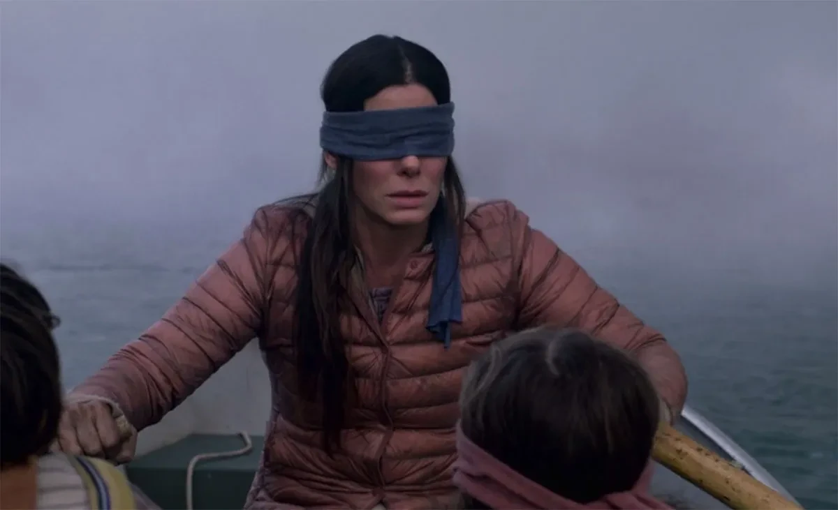 Sandra Bullock's Bird Box used a footage that landed Netflix in trouble
