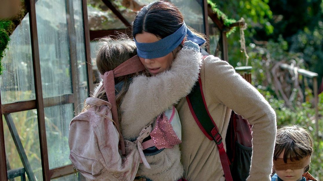 Bird Box's footage came from Pond5 who also apologized