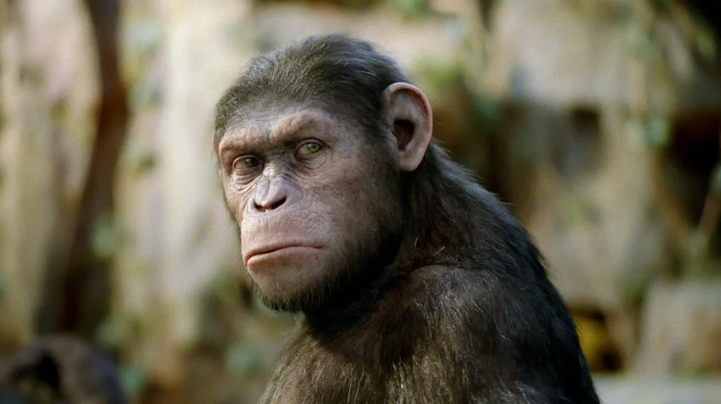 Andy Serkis as Caesar in a still from Rise of the Planet of the Apes