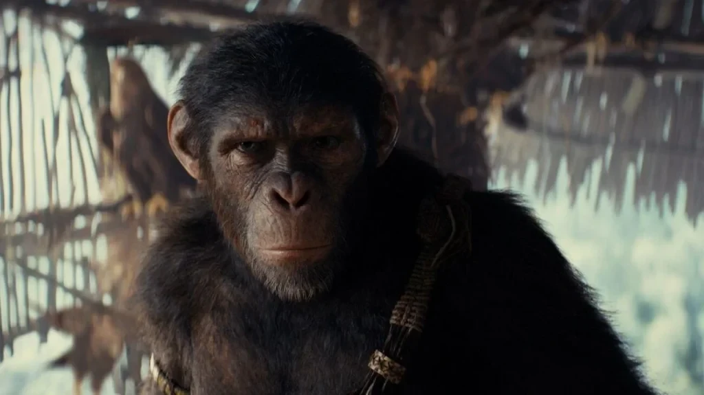 A still from the upcoming Kingdom of the Planet of the Apes 