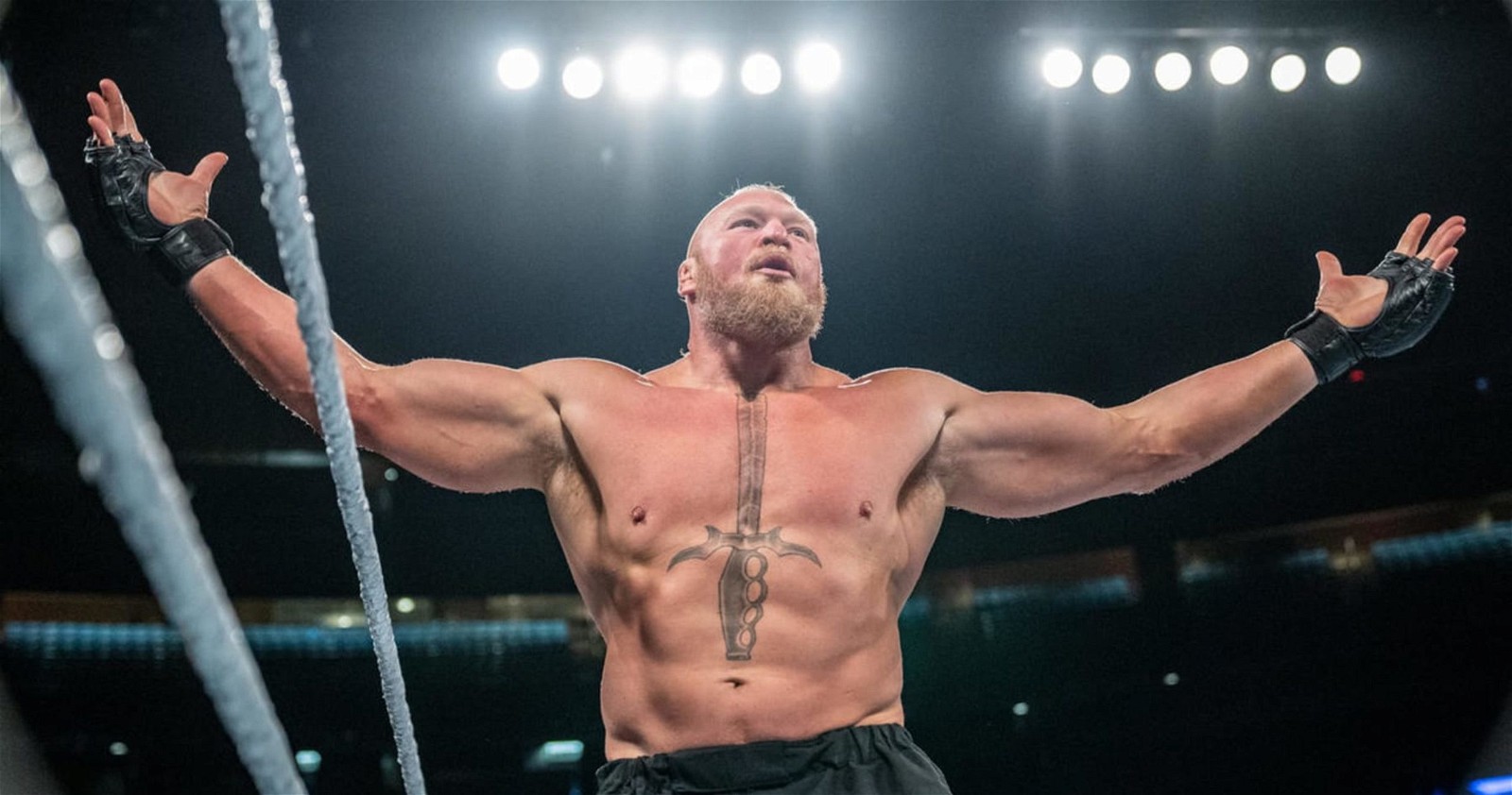 Brock Lesnar's physique