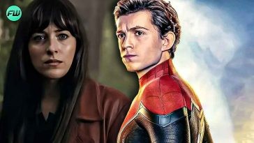 Devastating Spider-Man 4 Update Convinces Fans Sony Will Butcher Tom Holland Movie Too after Dakota Johnson's Madame Web