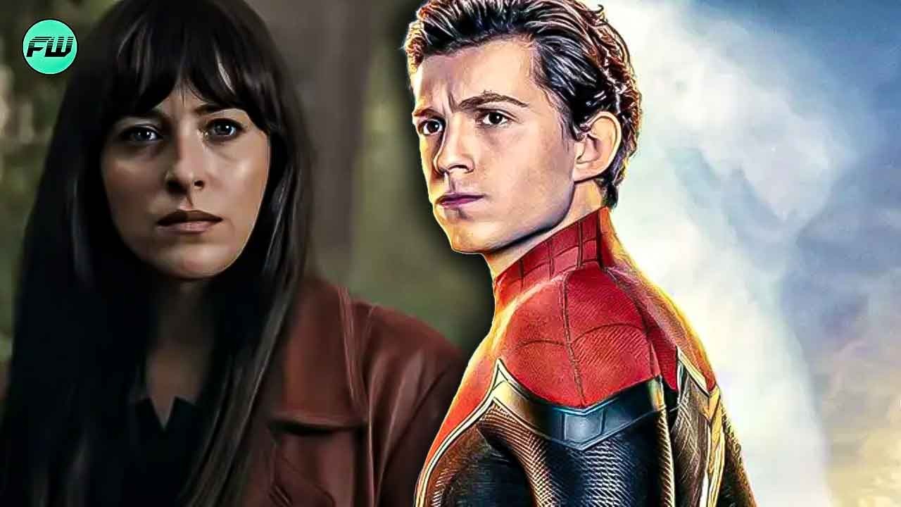 Devastating Spider-Man 4 Update Convinces Fans Sony Will Butcher Tom Holland Movie Too after Dakota Johnson’s Madame Web