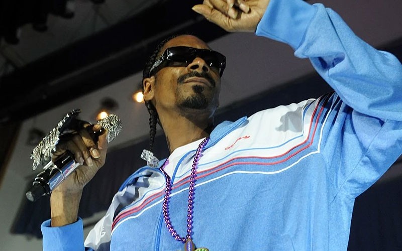 Snoop Dogg vibing 