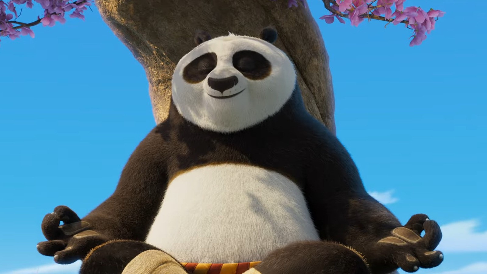 Po aka Kung Fu Panda