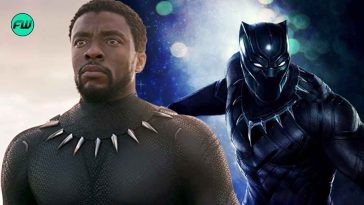 "He was going to be grieving": MCU's Original Plans For Chadwick Boseman In Black Panther 2 Before His Tragic Death Revealed